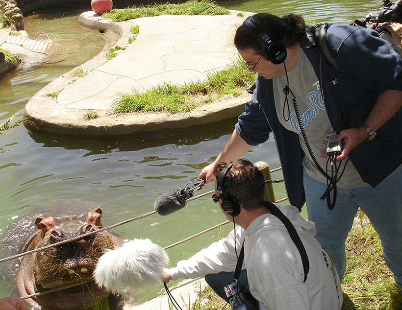 Field recording at the San Francisco Zoo